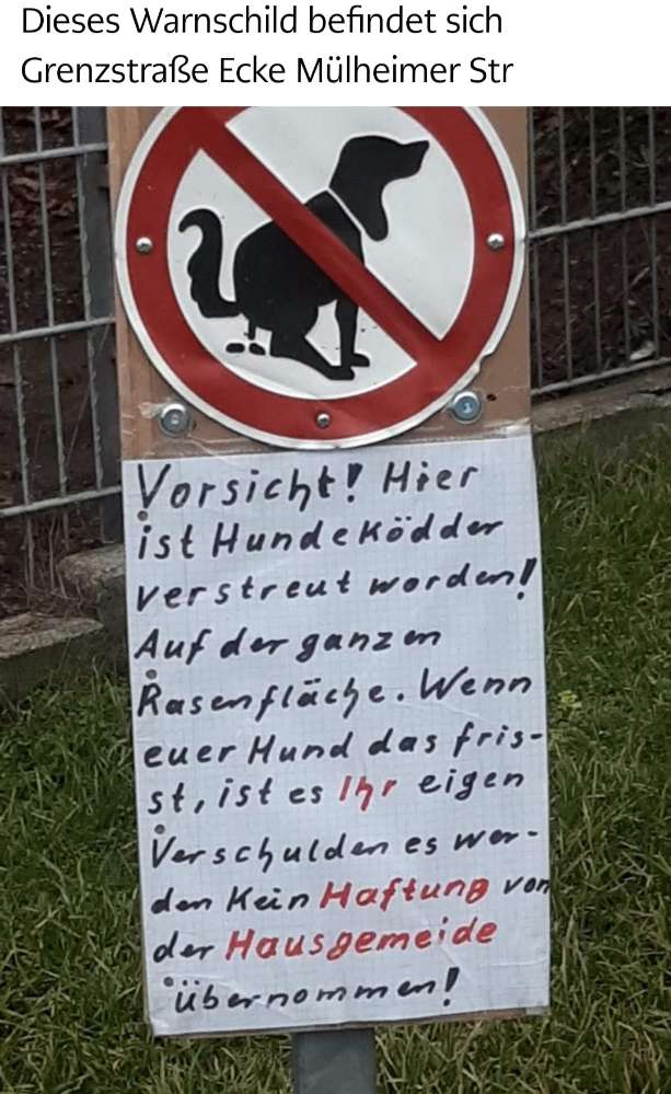 Giftköder-Gift-Profilbild