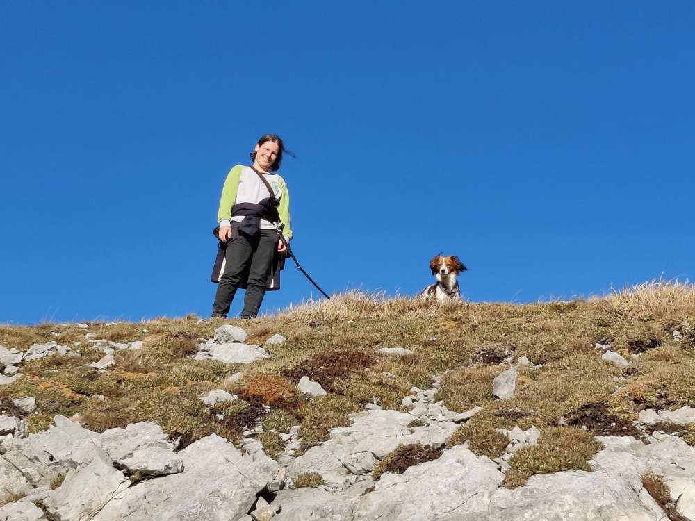 Hundetreffen-Gemeinsame Gassirunden im 23. Bezirk-Profilbild
