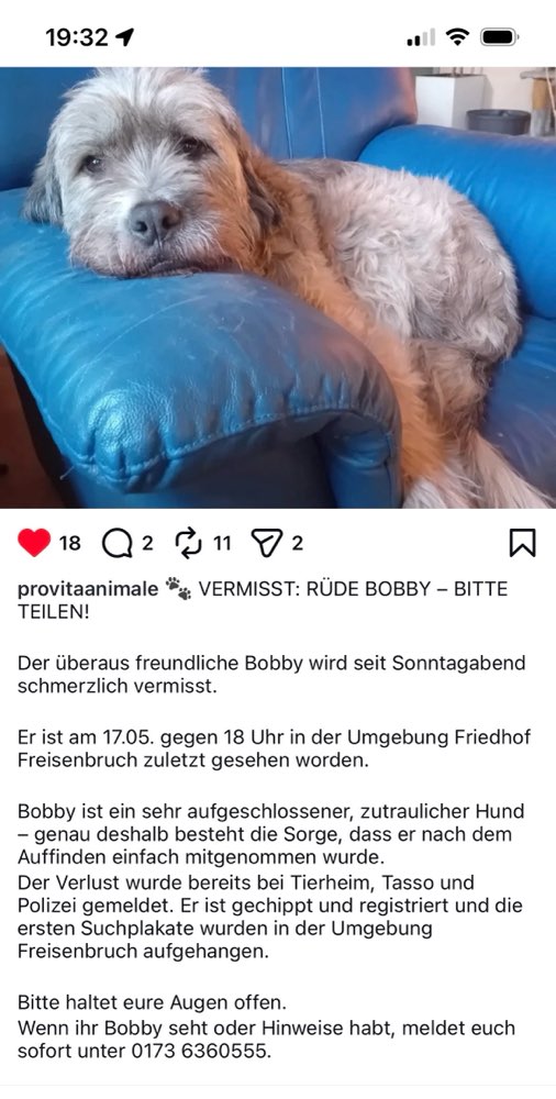 Suchmeldung-Bobby-Profilbild