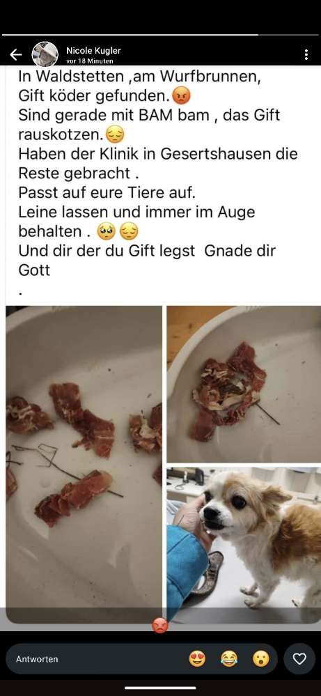 Giftköder-Achtung Giftköder-Profilbild