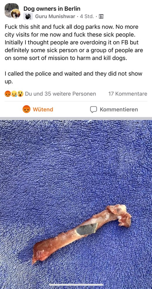 Giftköder-Knochen mit Rasierklinge gefunden-Profilbild