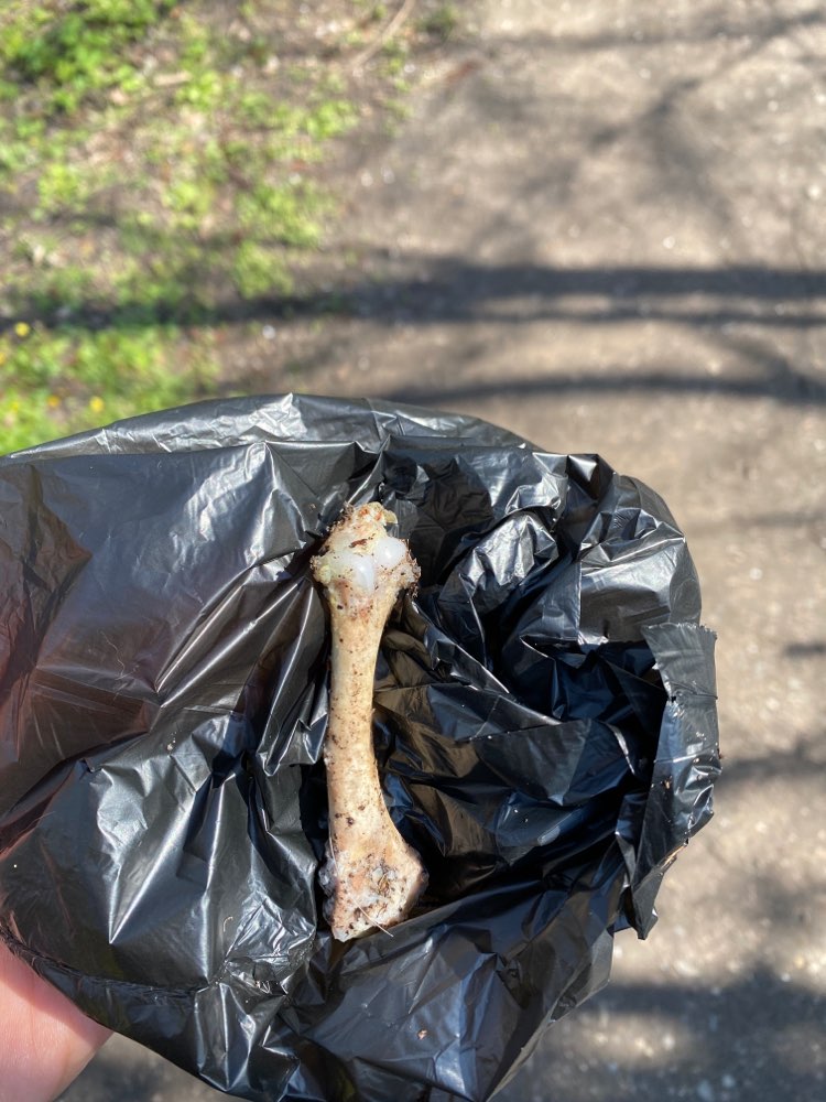 Giftköder-Knochen und Trockenfutter-Profilbild