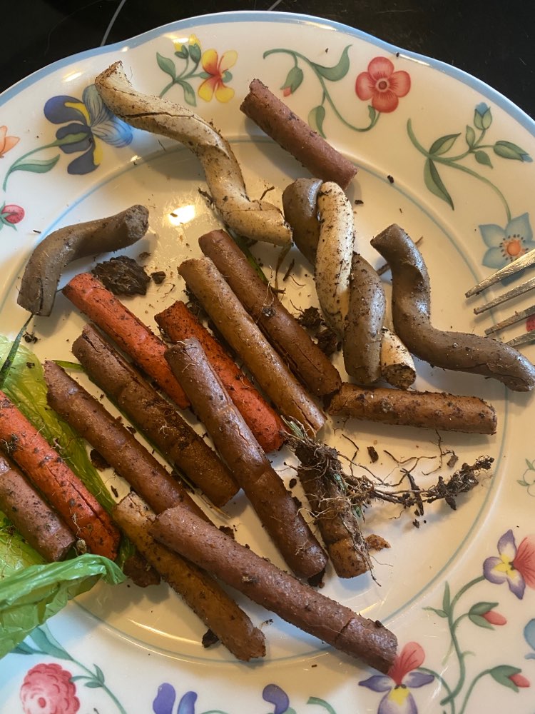 Giftköder-Mögliche Giftköder-Profilbild