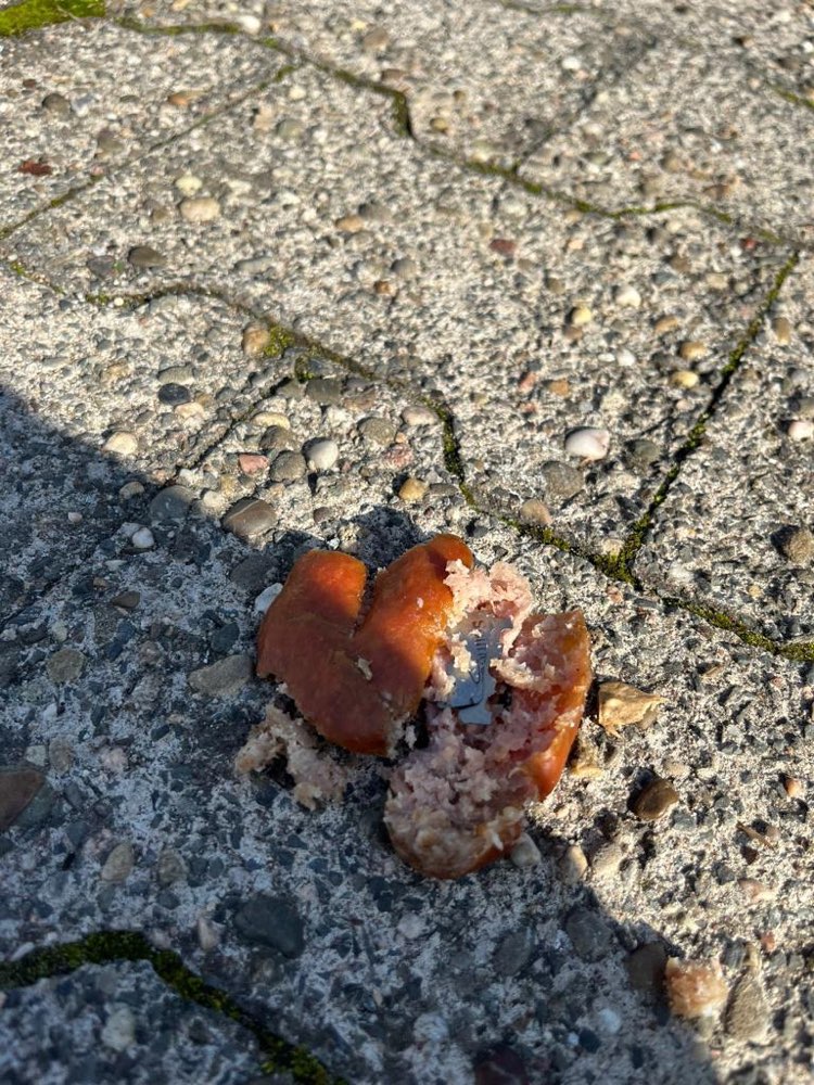 Giftköder-Köder mit Rasierklingen (kein Gift)-Profilbild