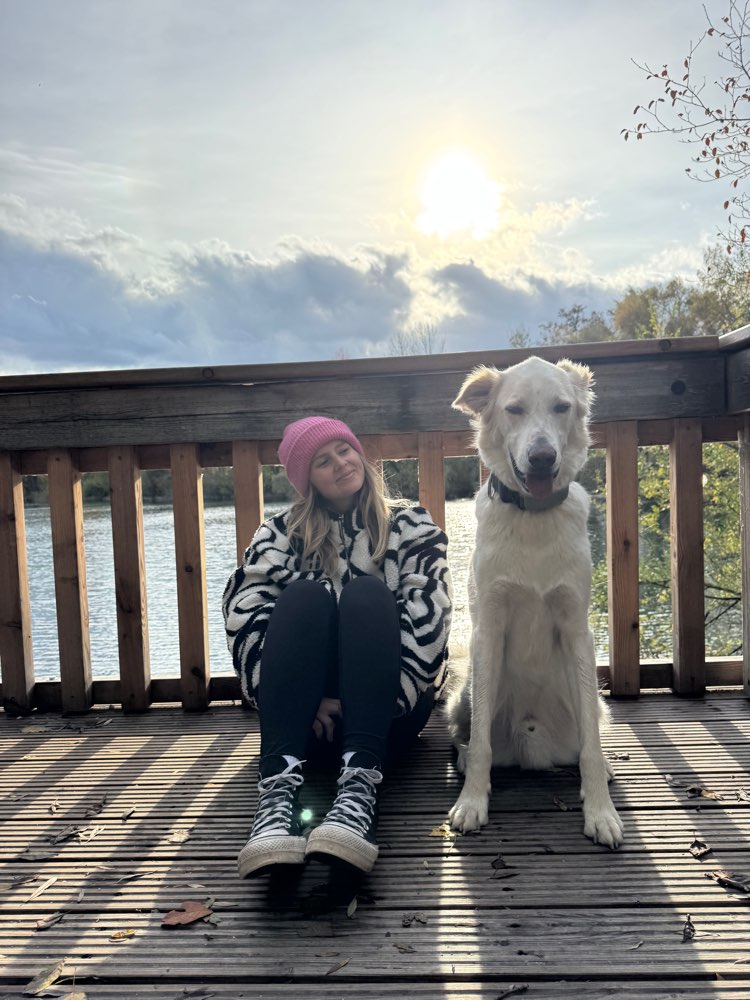 Hundetreffen-Gemeinsame Gassirunden & neue Hundefreundschaften-Profilbild