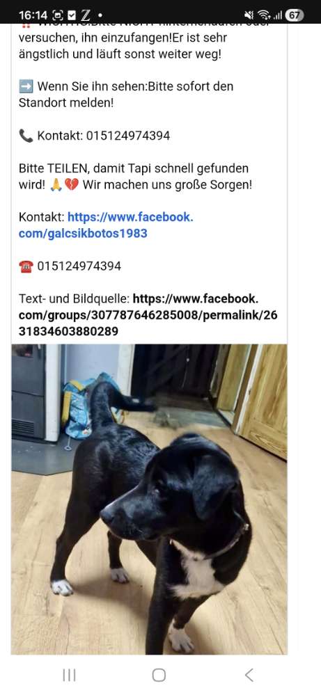 Suchmeldung-Tapi-Profilbild