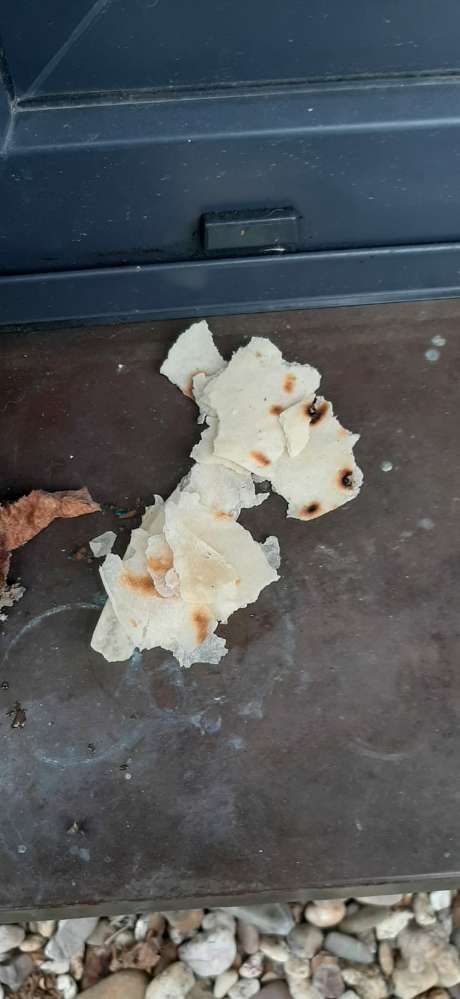 Giftköder-Evtl. Giftköder im Garten gefunden-Profilbild