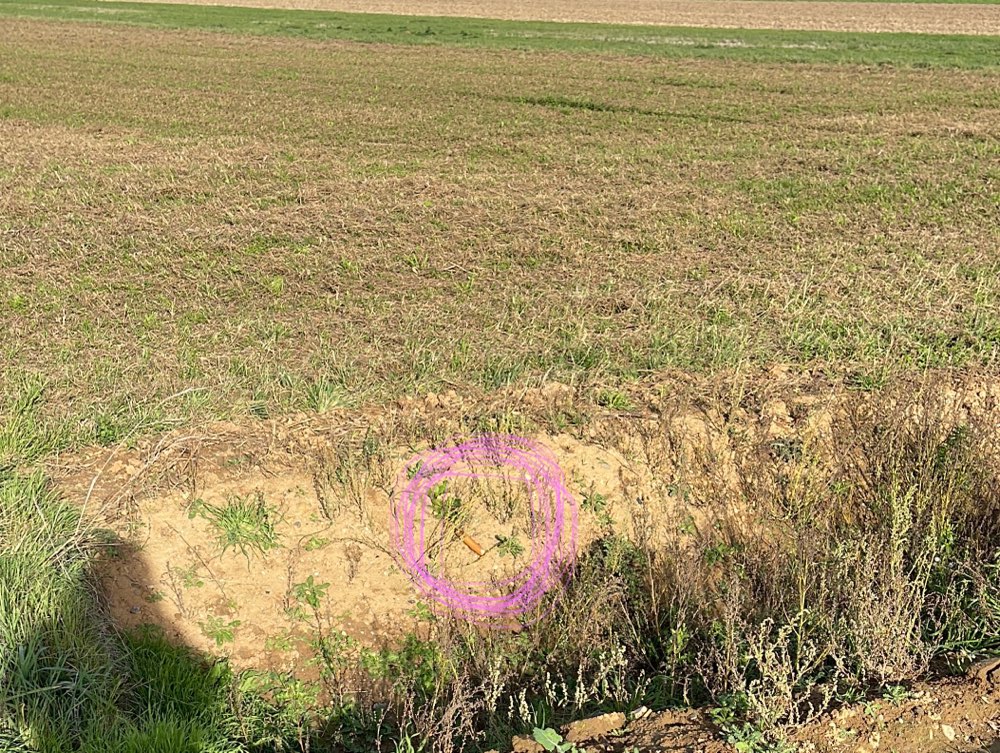 Giftköder-Wurstköder-Profilbild