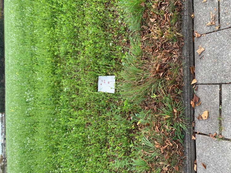 Giftköder-Ausgelegtes Fleisch-Profilbild