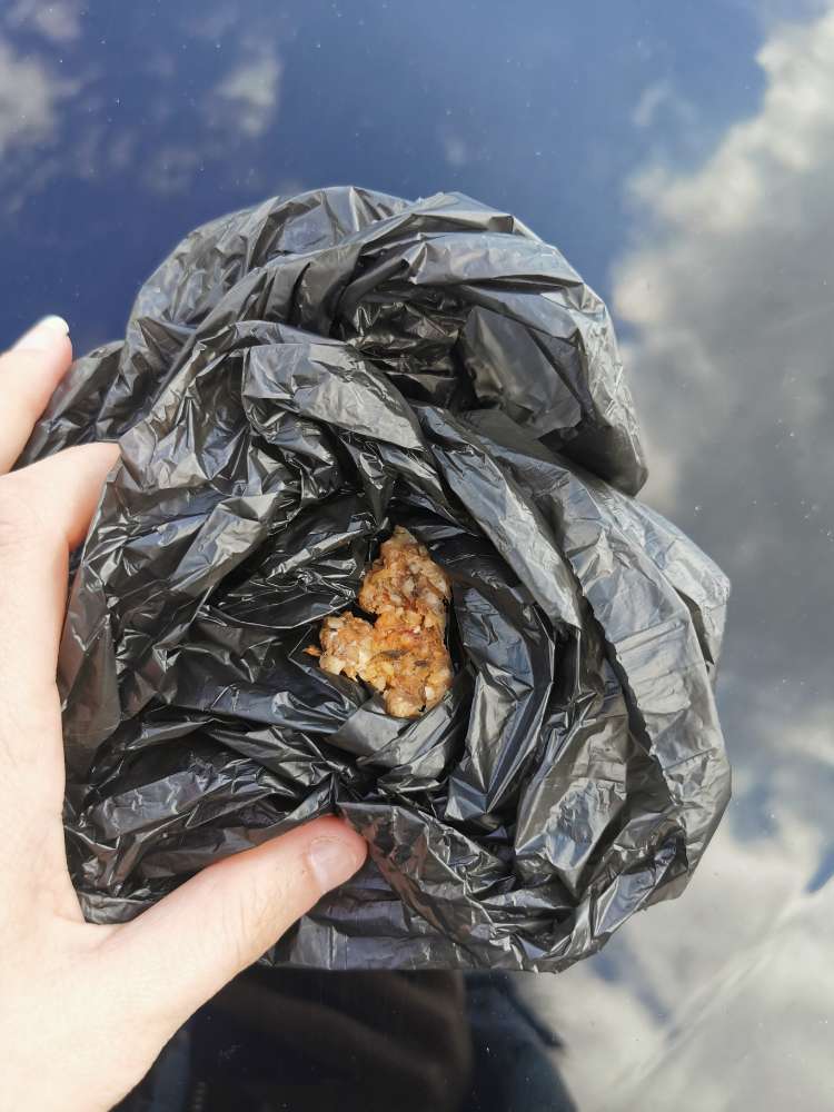 Giftköder-evtl. Giftköder-Profilbild