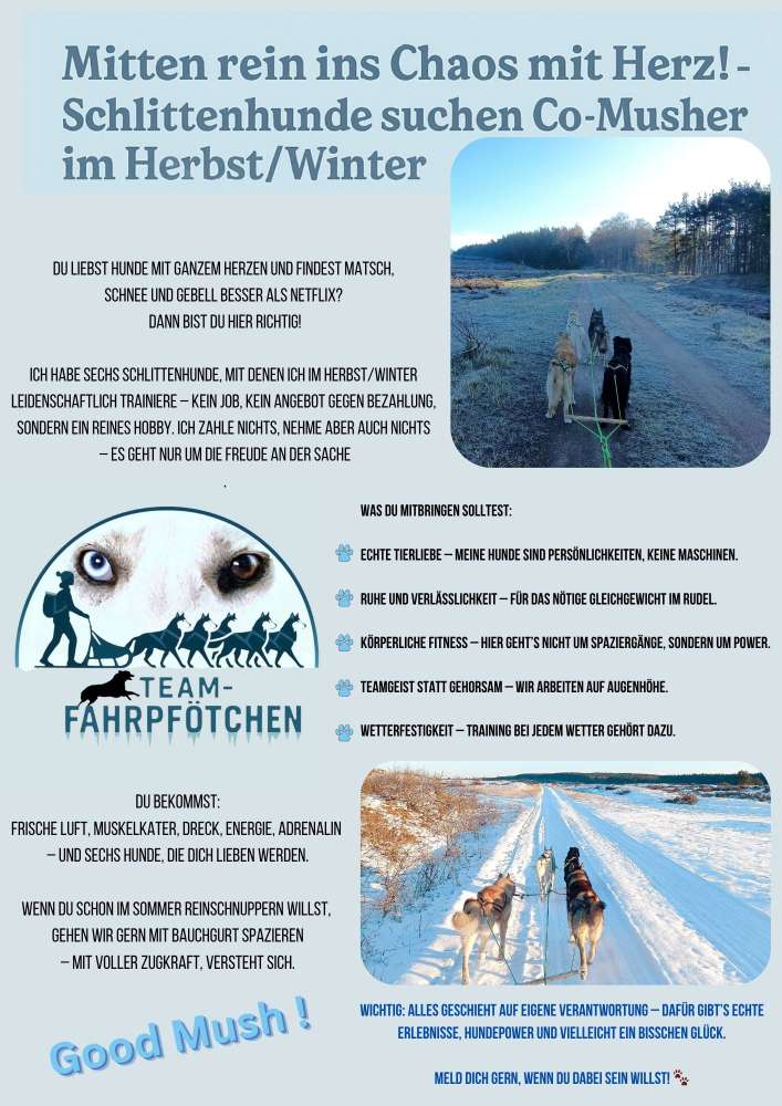 Hundetreffen-Schlittenhunde suchen ggf. Co Musherin-Profilbild