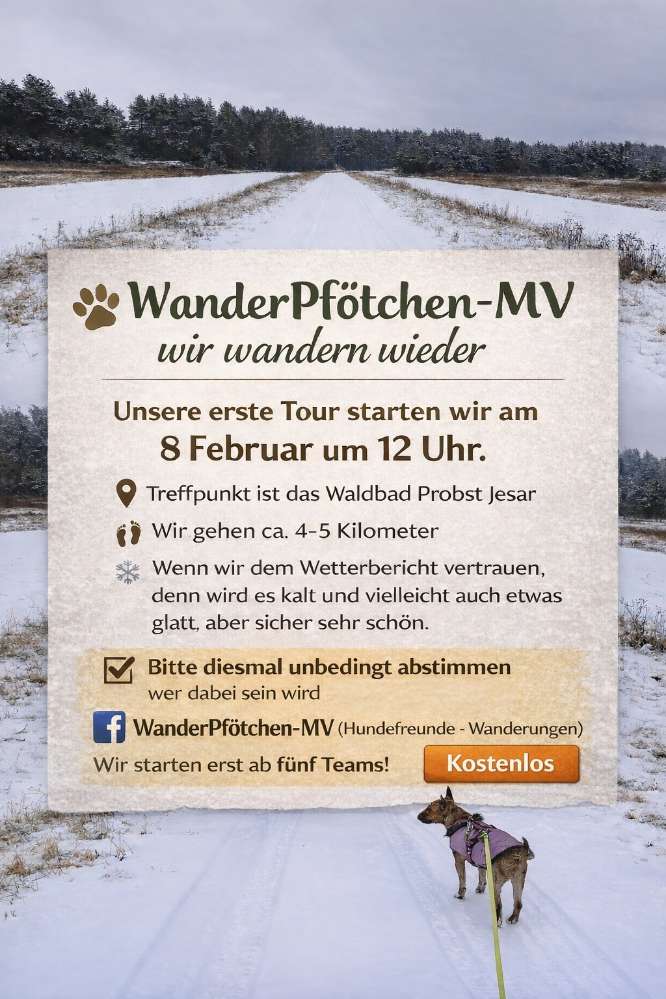 Hundetreffen-4-5 Kilometer Social Walk mit Abstand zueinander-Profilbild