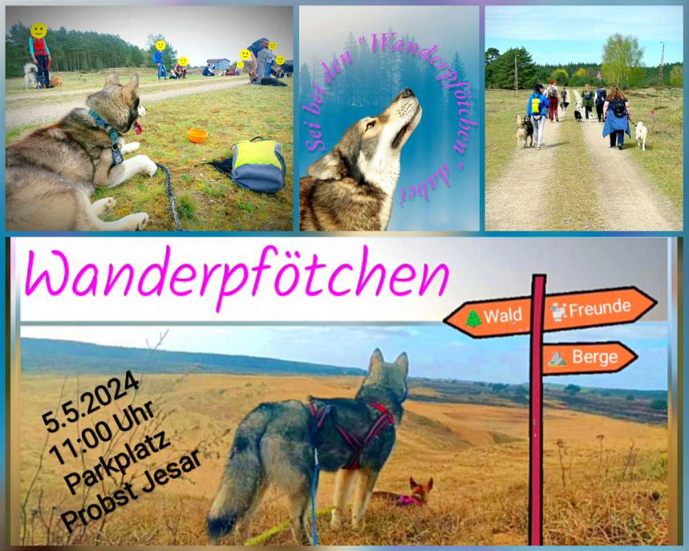 Hundetreffen-Wandern mit Hund in Lübtheen-Profilbild