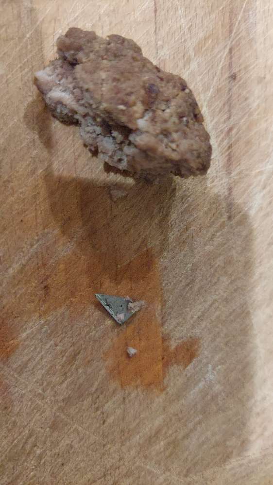 Giftköder-Giftköder-Profilbild