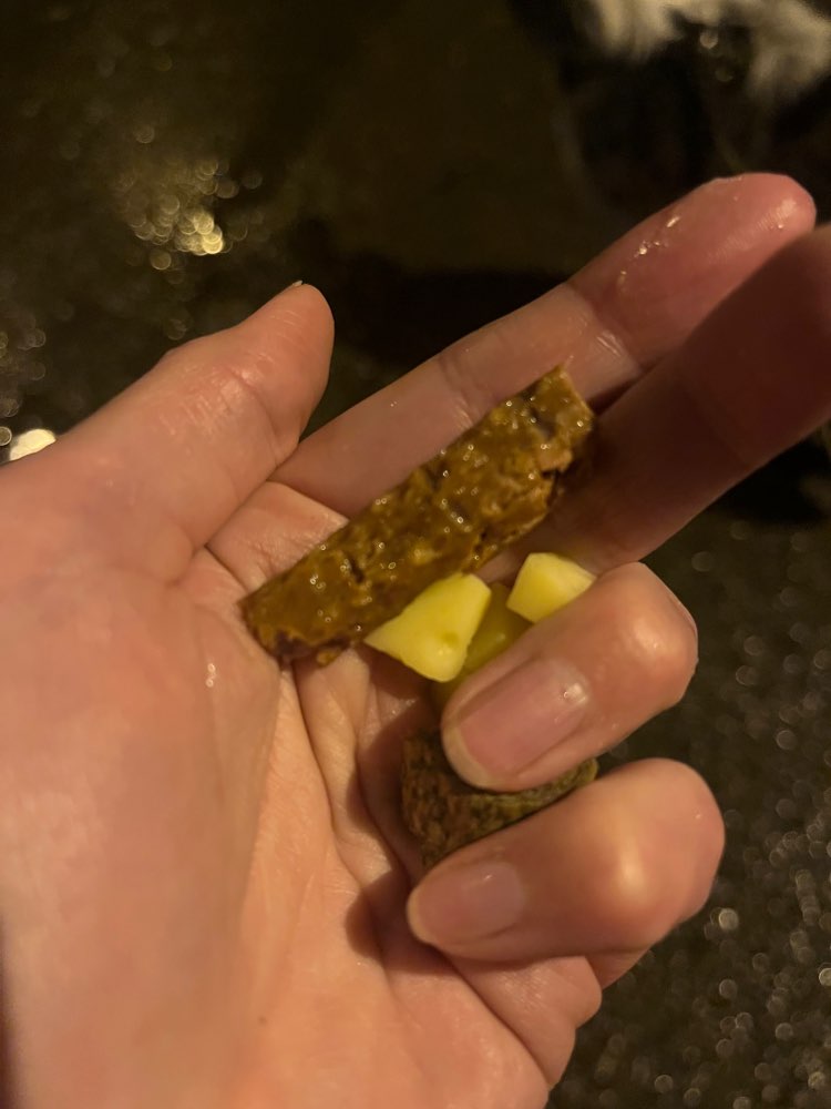 Giftköder-Wurststück o.ä.-Profilbild