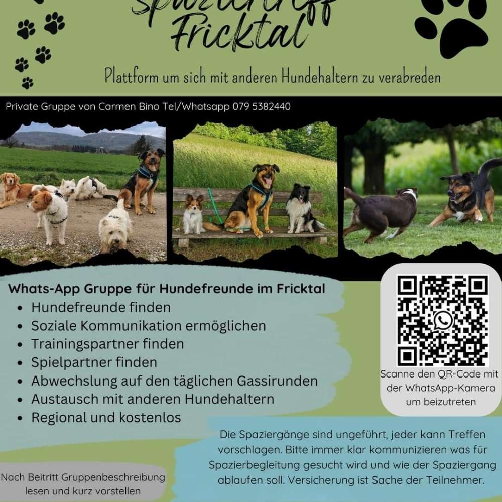 Hundetreffen-Fricktaler Spaziertreff-Profilbild