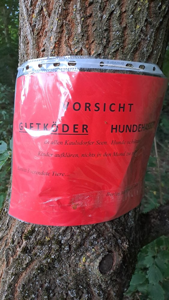 Giftköder-Giftköder-Profilbild