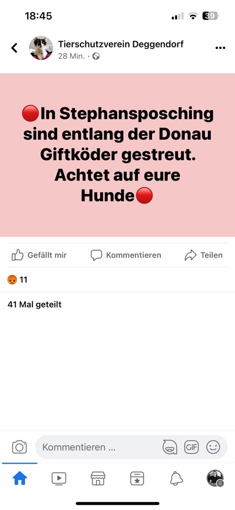 Giftköder-Giftköder-Profilbild