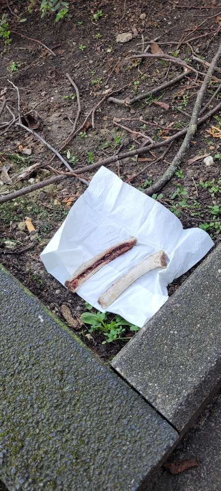 Giftköder-Knochen in Stommeln-Profilbild