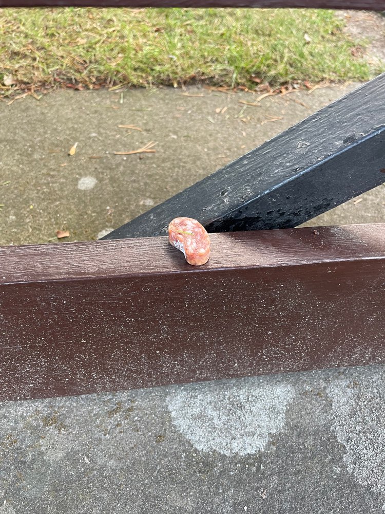 Giftköder-Ausgelegte Wurststücke-Profilbild