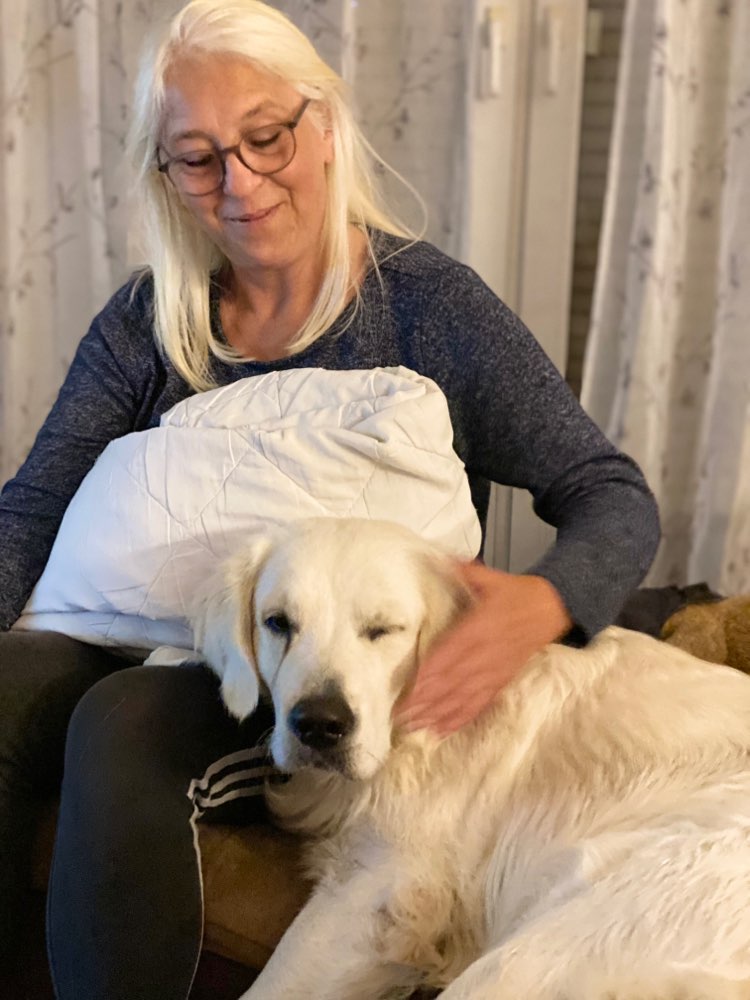 Hundetreffen-Spielkameraden-Profilbild