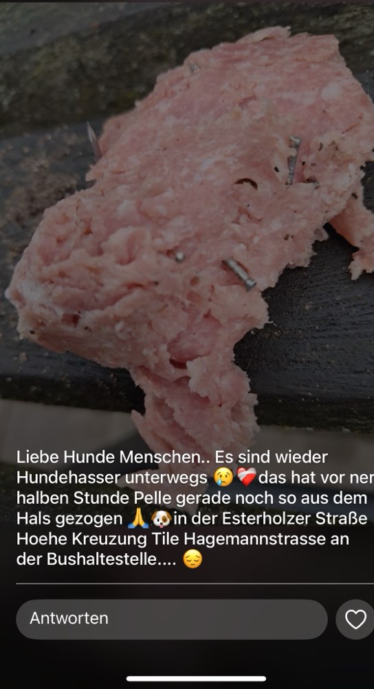 Giftköder-Giftköder-Profilbild