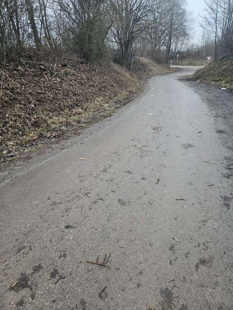 Giftköder-Hähnchenknochen gegrillt-Profilbild