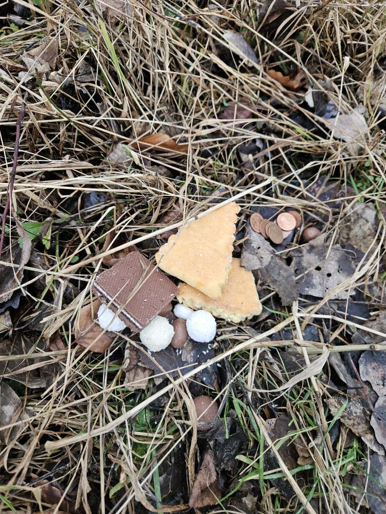 Giftköder-Süßigkeiten/ Gebäck-Profilbild