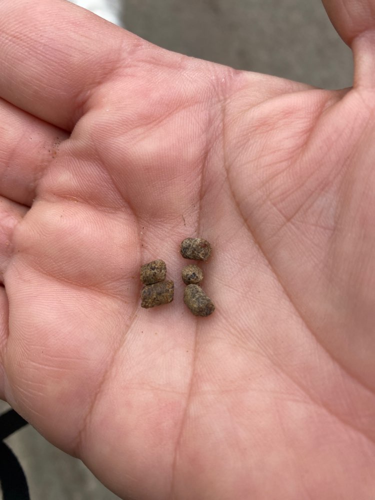 Giftköder-Achtung - wahrscheinlich Dünger-Profilbild