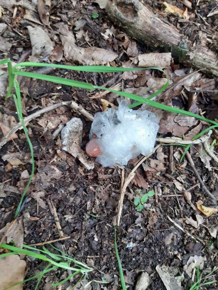 Giftköder-Plastiktüte mit Wurst-Profilbild