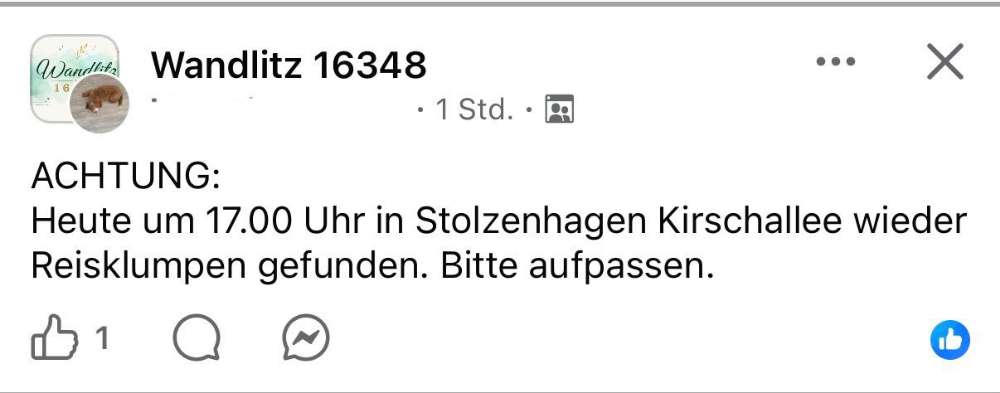 Giftköder-Giftköder -gekochter Reis-Profilbild