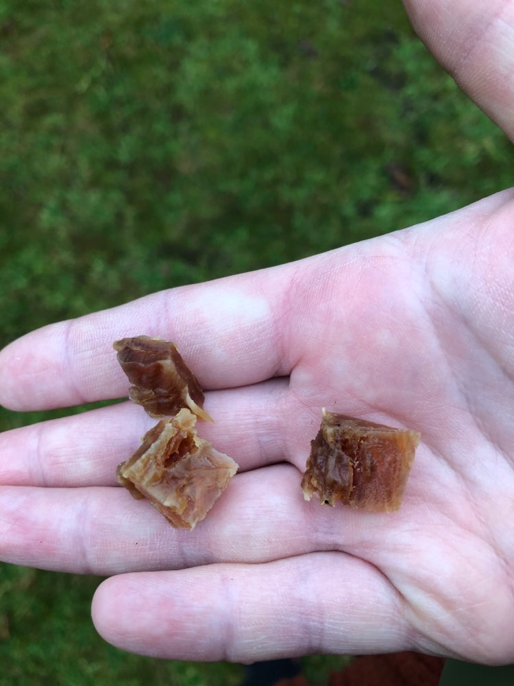 Giftköder-Leckerlis im Park-Profilbild