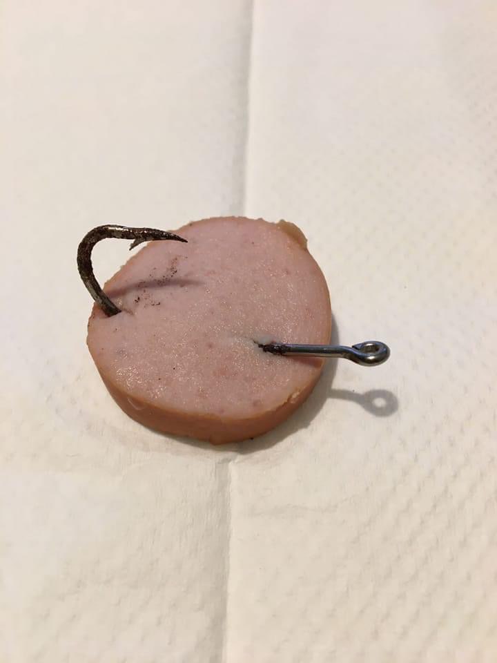 Giftköder-Präparierter Köder!-Profilbild