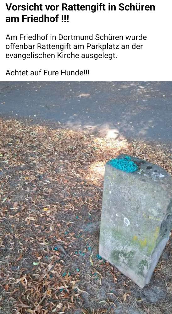 Giftköder-Rattengift-Profilbild