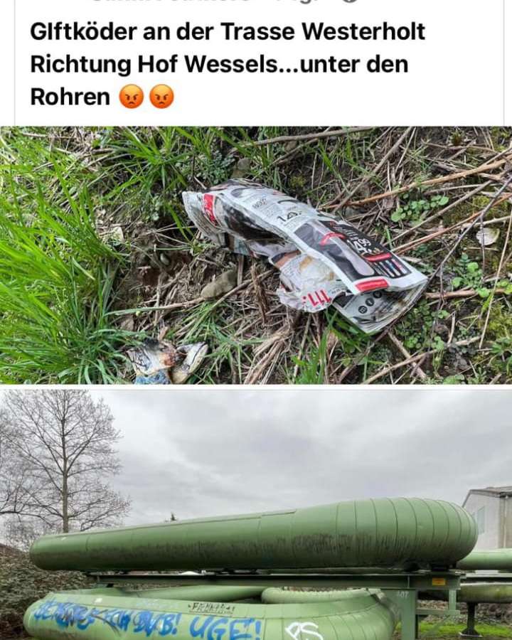 Giftköder-Giftköder Entlang der Zechenbahntrasse-Profilbild