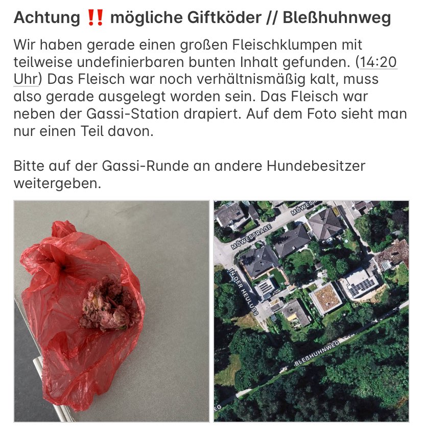 Giftköder-Mögliche Giftköder Waldtrudering-Profilbild