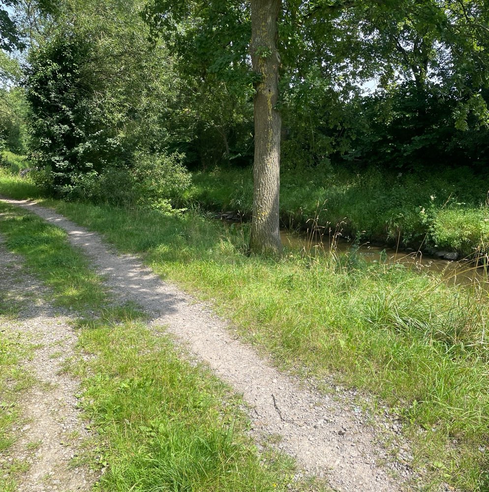 Giftköder-(Rohes) Fleisch am Swistbach-Profilbild