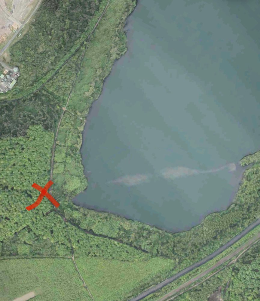 Giftköder-Trockenfutter am Bleibtreusee-Profilbild