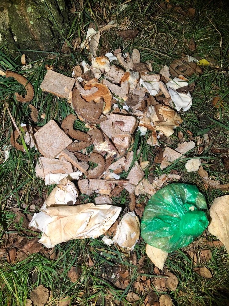 Giftköder-Brot- und Wrapreste im Prosperpark-Profilbild
