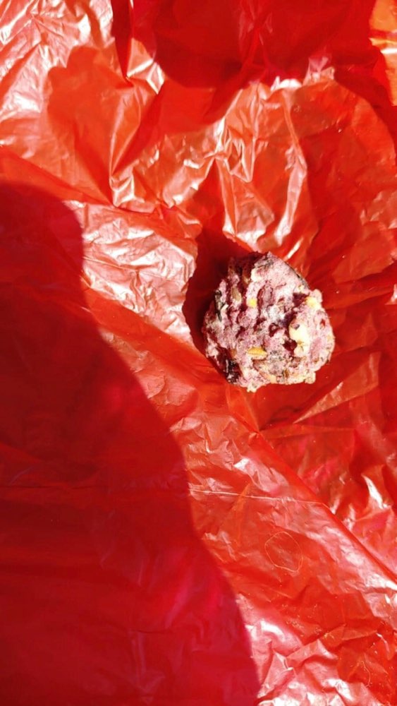 Giftköder-Giftköder-Profilbild