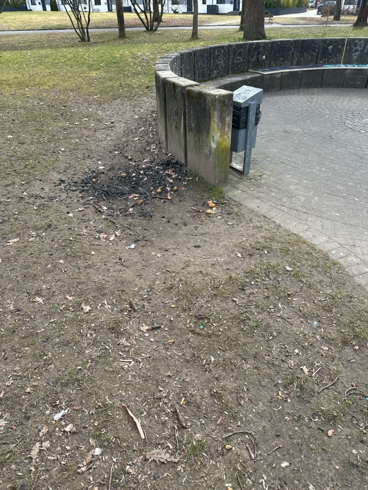 Giftköder-Kohle und Essensreste-Profilbild