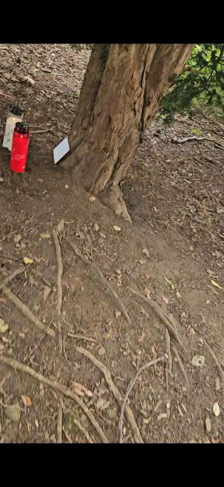 Giftköder-Gift - Hund leider gestorben ..-Profilbild