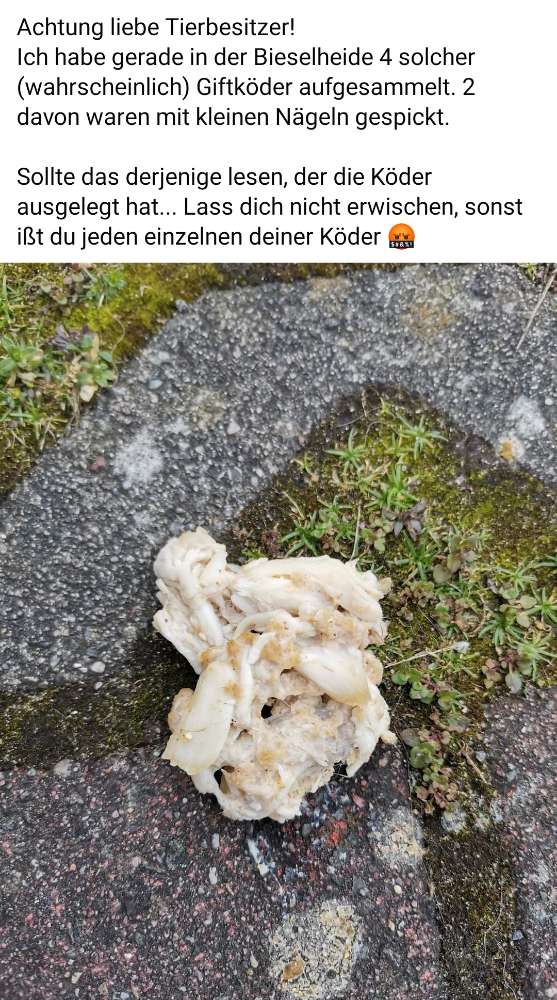 Giftköder-Giftköder mit Nägeln-Profilbild