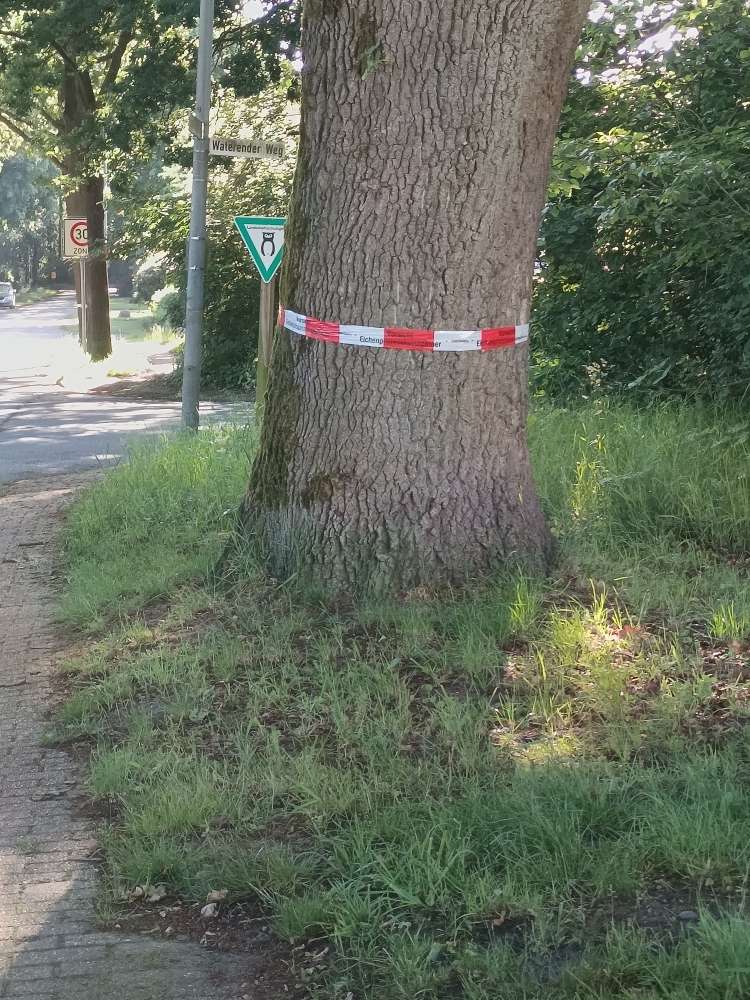 Giftköder-Gekennzeichnete Bäume/ EPS-Profilbild