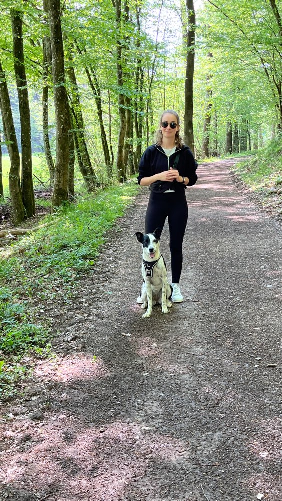 Hundetreffen-Spielerunde und Spazierengehen-Profilbild