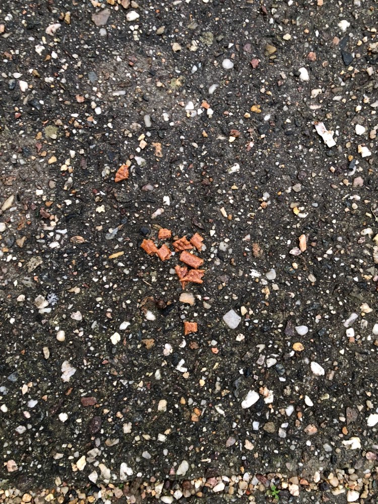 Giftköder-Möglicher Köder Leckerlies-Profilbild