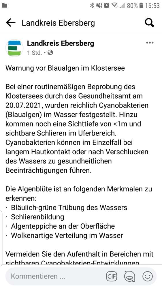 Giftköder-Blaualgen-Profilbild