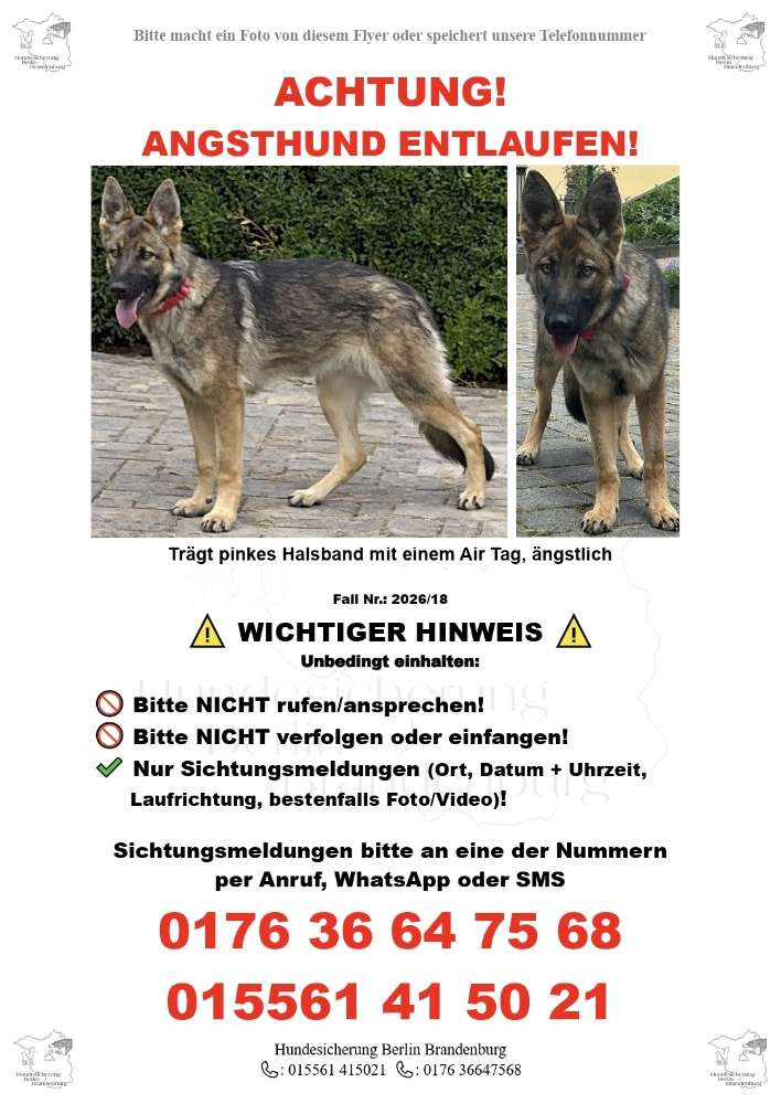 Suchmeldung-Pina-Profilbild