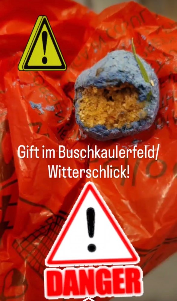 Giftköder-Giftköder-Profilbild