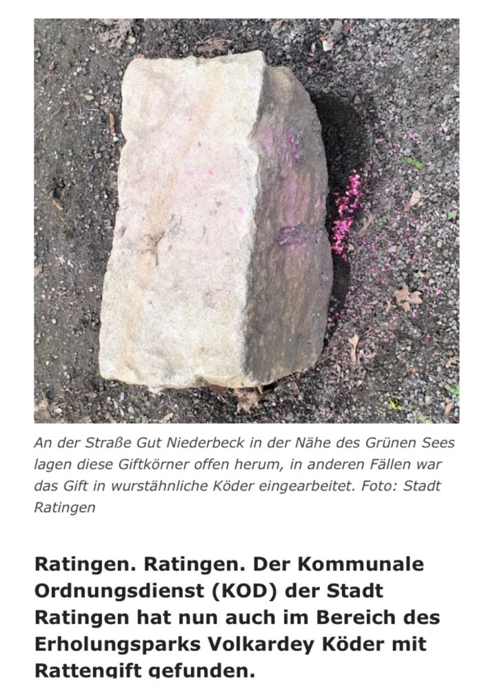 Giftköder-Giftmeldung-Profilbild